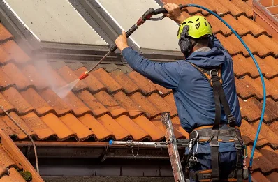 Démoussage et hydrofuge de toiture à Bazaiges